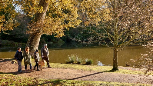 Family and their dog on a winter walk on a sunny day